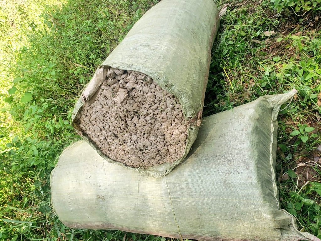 POLICE RECOVER 531KG OF BHANG AT A MIGORI HOMESTEAD