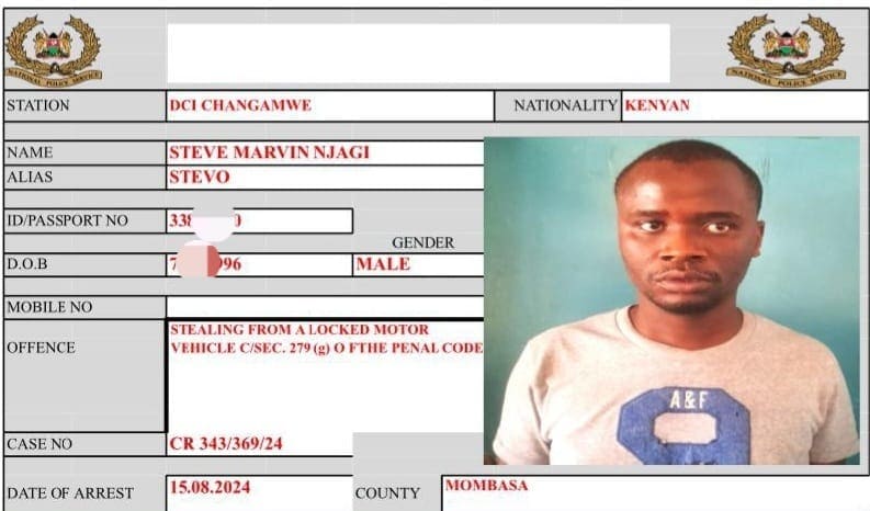 NOTORIOUS CAR BREAK-IN SUSPECT ARRAIGNED