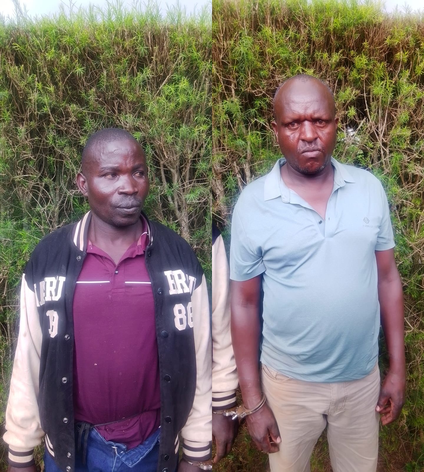 suspects