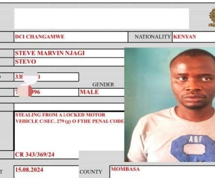 NOTORIOUS CAR BREAK-IN SUSPECT ARRAIGNED