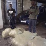 suspects